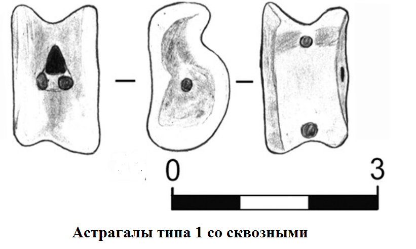 Астрагалы.png
