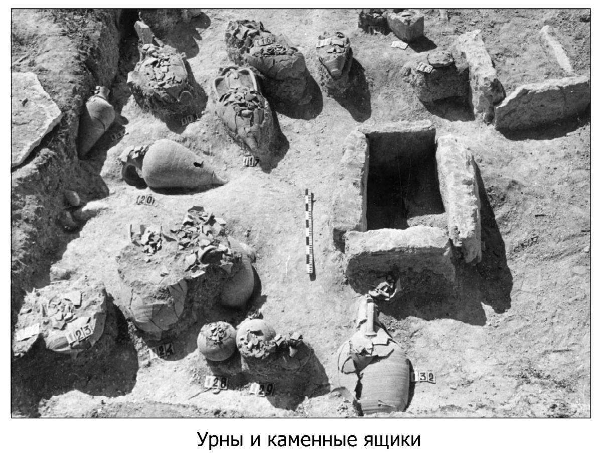 Без имени-4_10.jpg