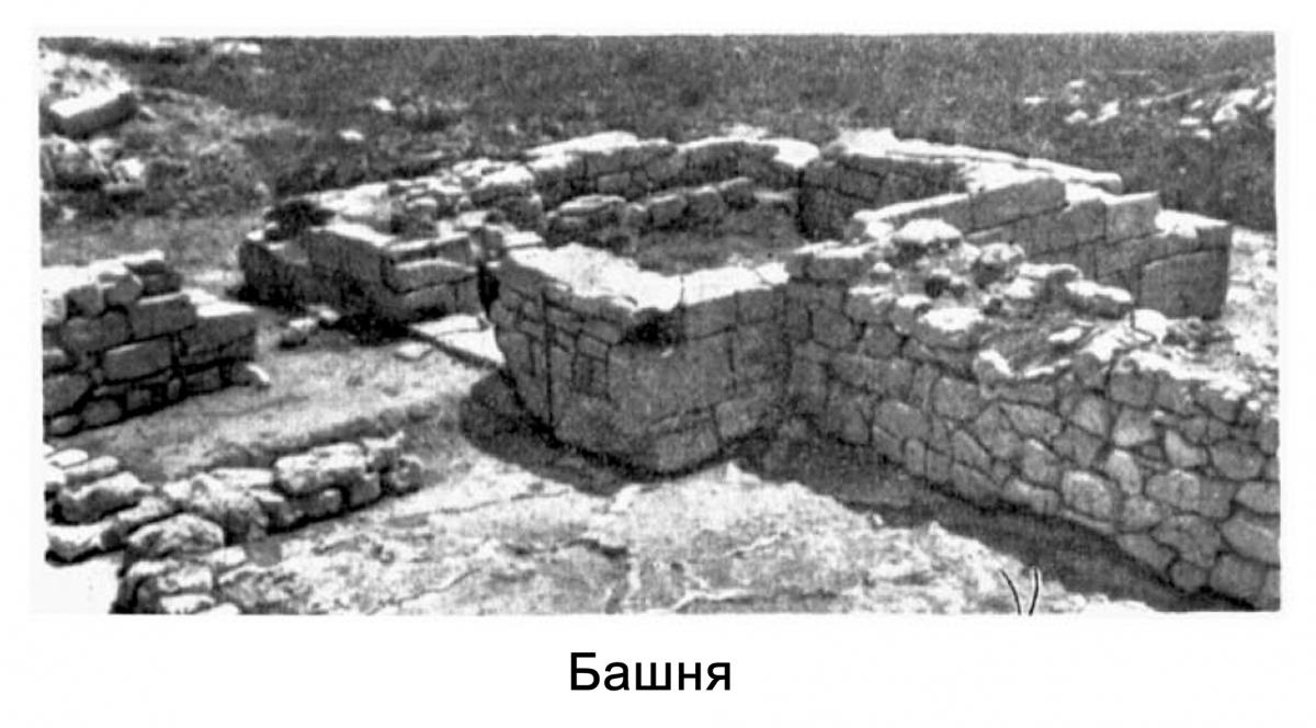 Без имени-4_17.jpg