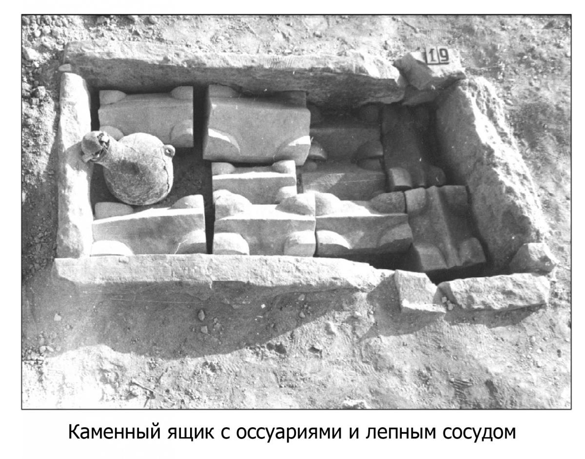 Без имени-5_7.jpg