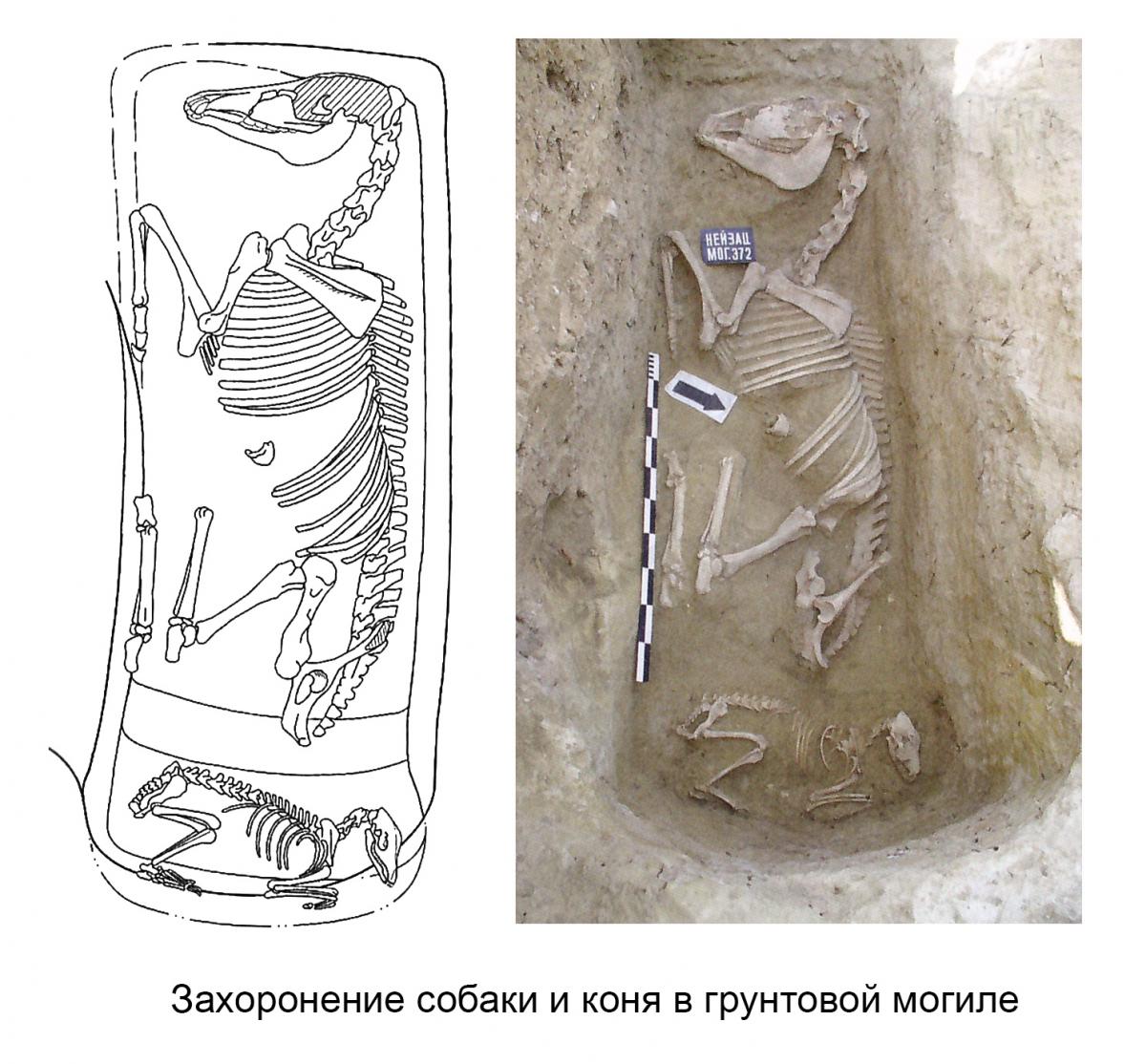 Без имени-6_23.jpg