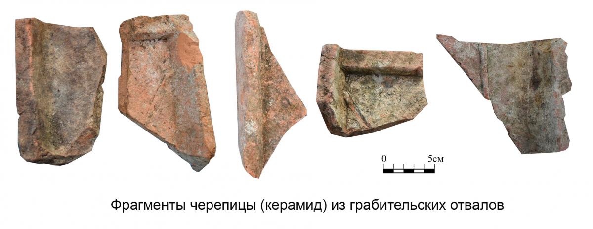 Без имени-7_27.jpg