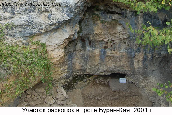 Рис5_1.jpg
