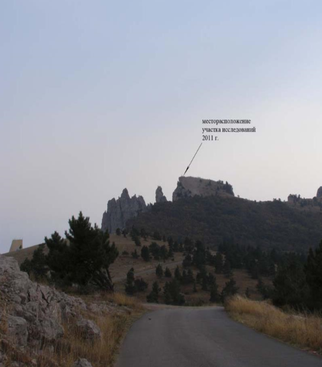 ай петри.png