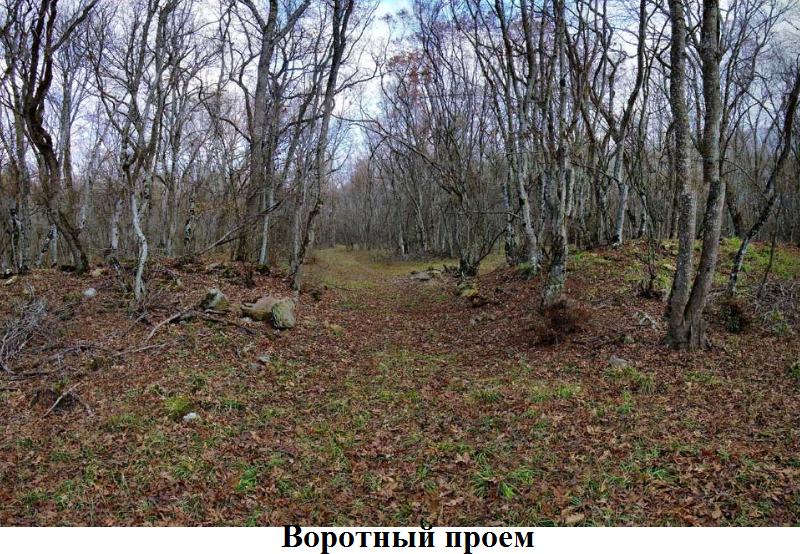 ворота.png