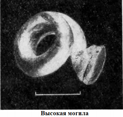 высокая могилаъ.png