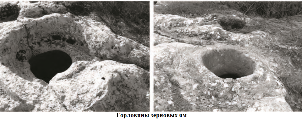 горловины зерновых ям.png