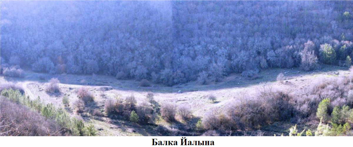 йалына.png