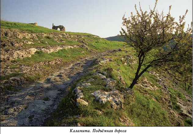 каламита дорога.png