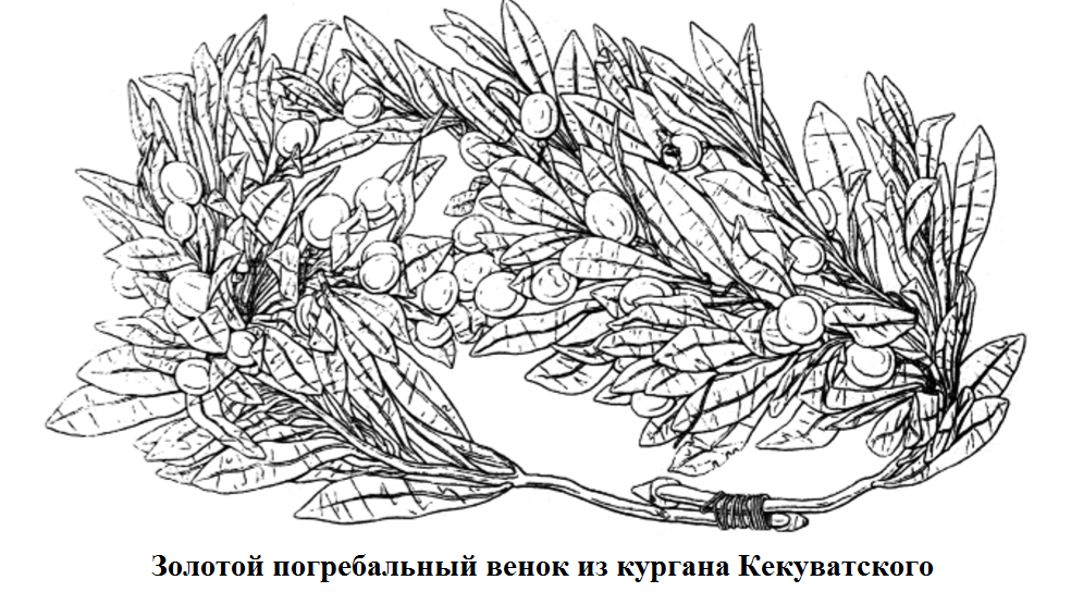 кекуватского.png