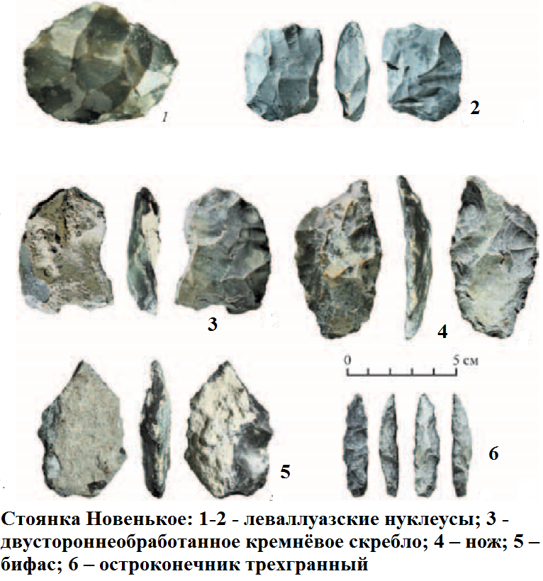 нахолки новенькое.png