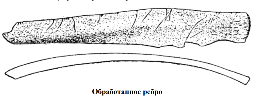 обработ ребро.png