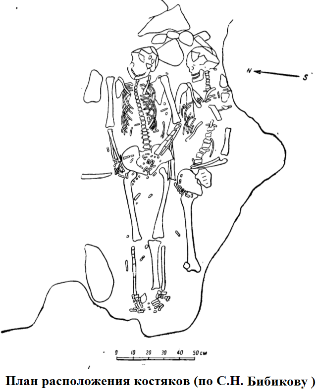 план костяков.png