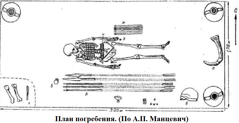 план манцевич.png