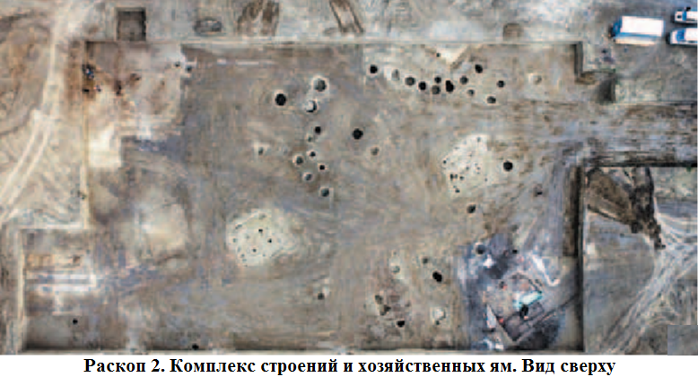 раскоп 2.png