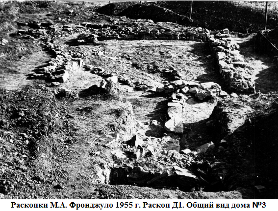 раскопки 1955.png