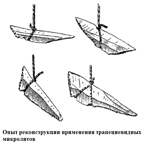 реконстр_1.png