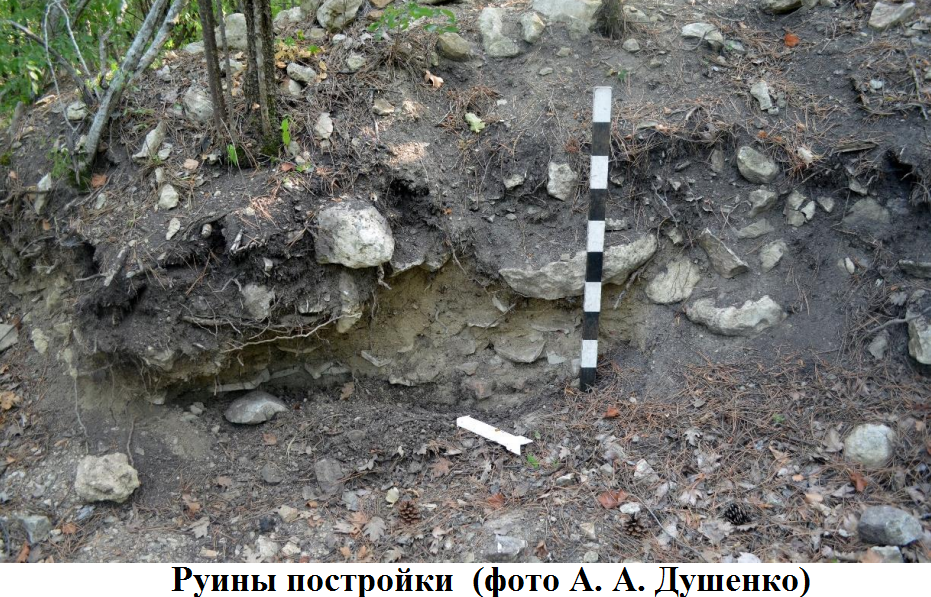 руины постройки.png