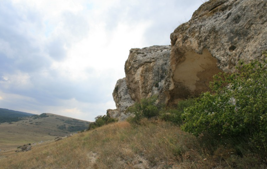 сары кая.png