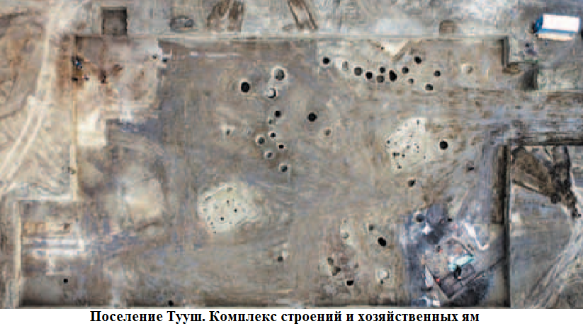 тууш.png