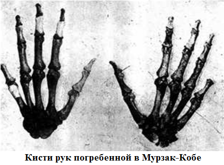фаланги.png