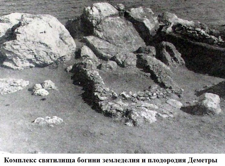 06f_0.jpg