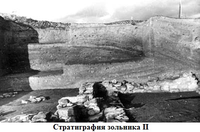 19_3.jpg