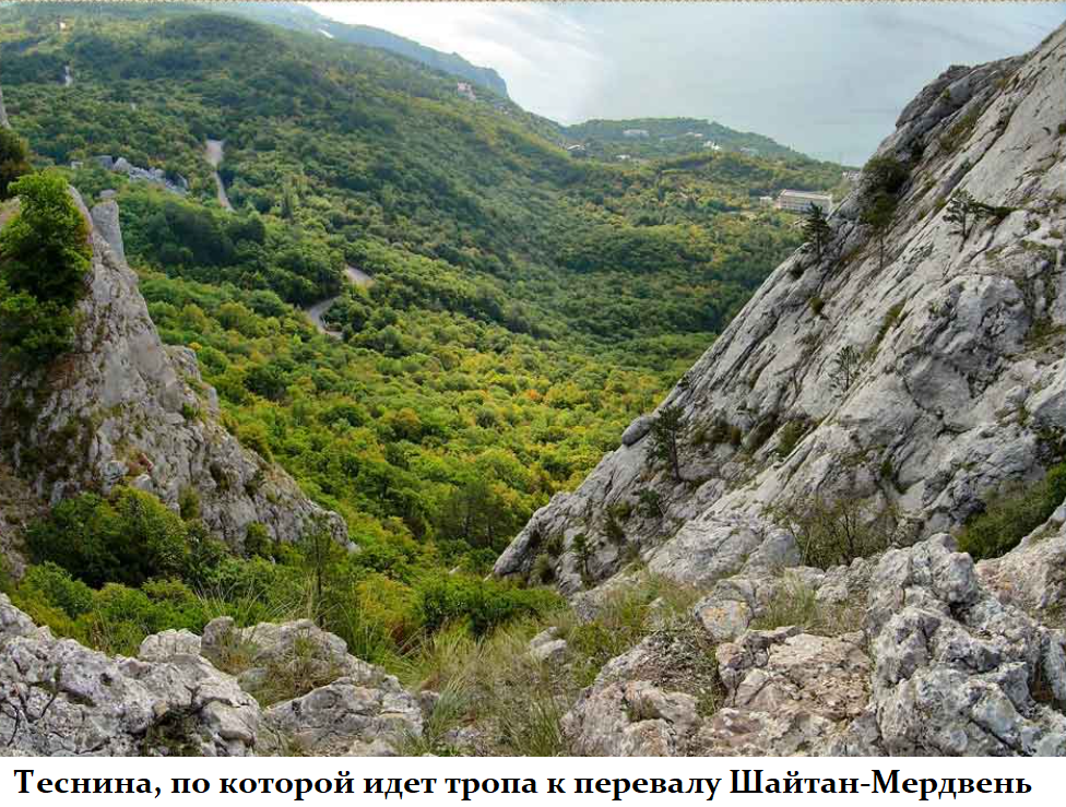 2021-09-29_10-48-13.png