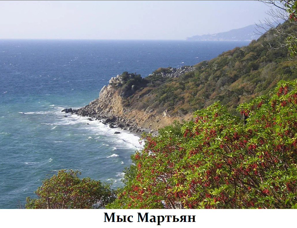 2021-11-09_14-07-15.png