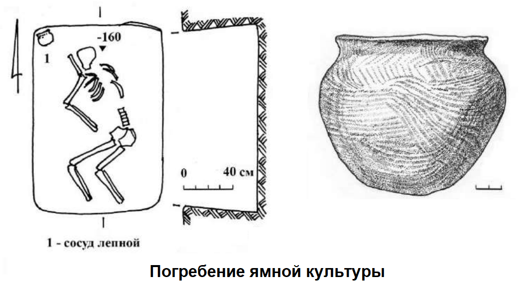2022-01-01_12-54-25.png