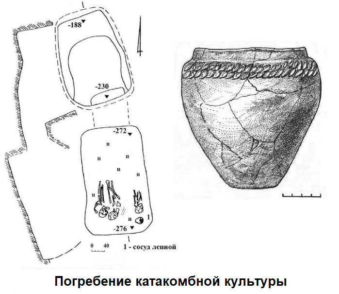 2022-01-01_12-55-50.png