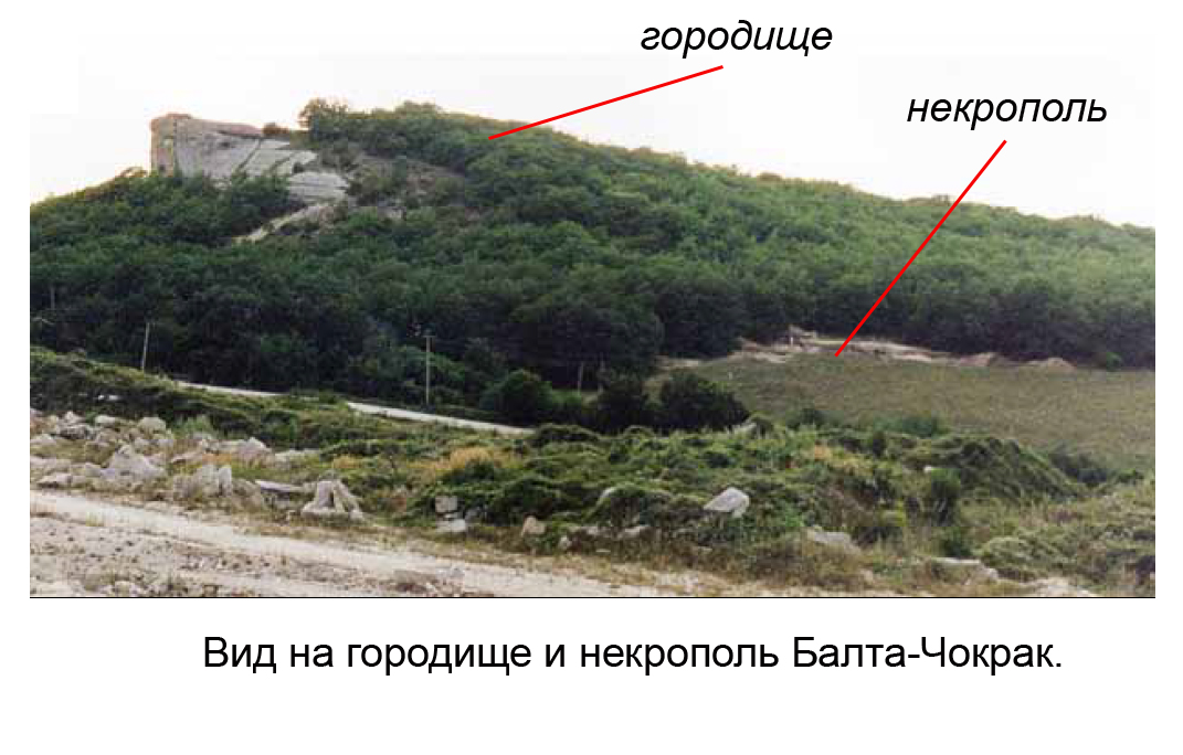 2_29.jpg