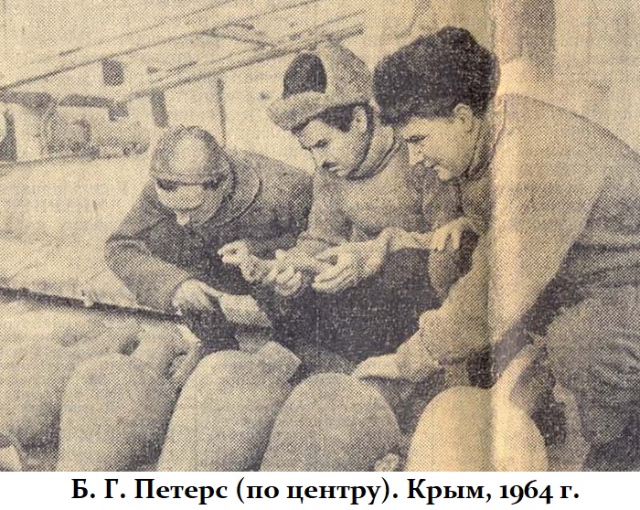7703980_original.jpg