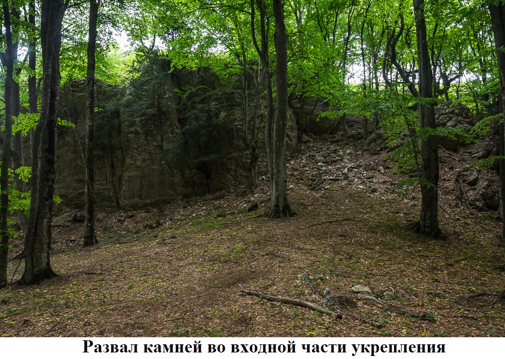 DSC_6897-2.jpg