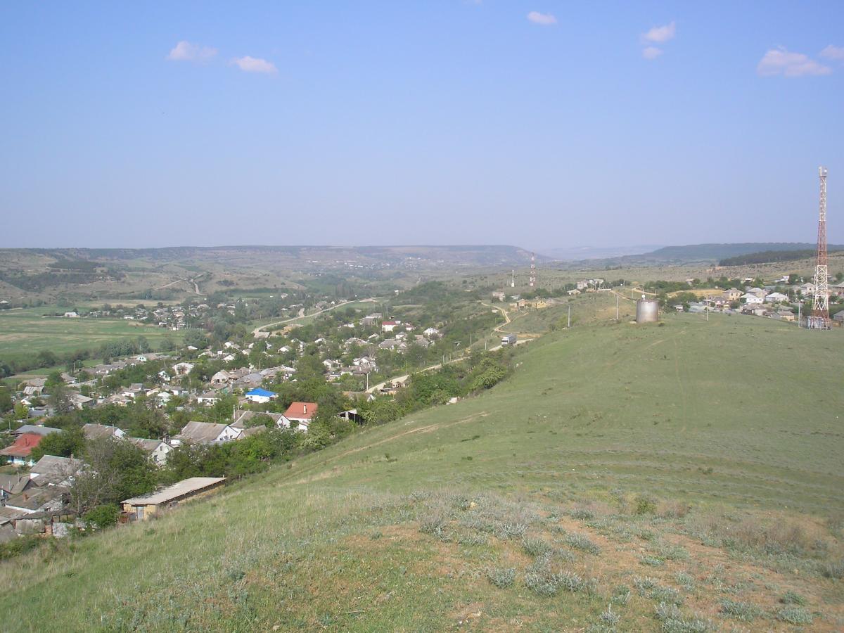 Tenistoe_11.jpg