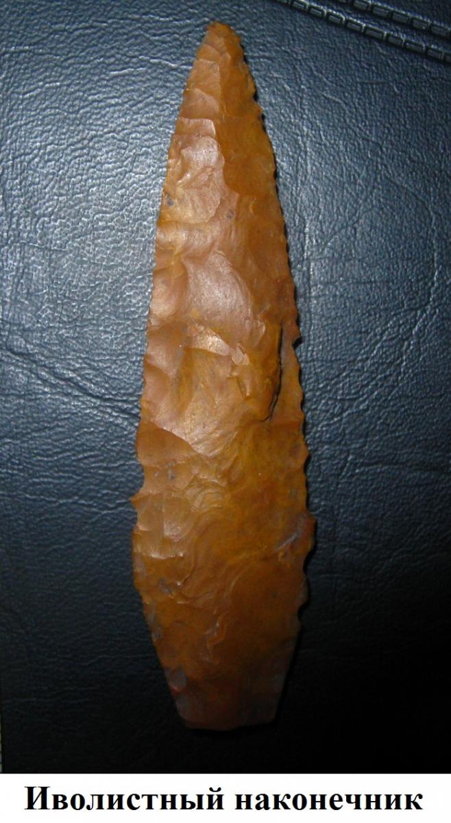 cf07e1999.jpg