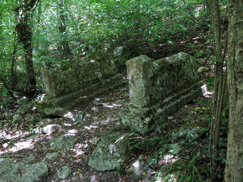 original_6.jpg
